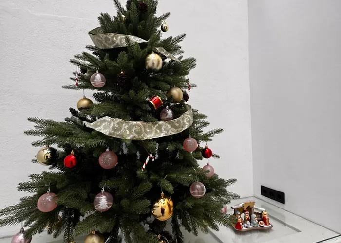 Castillo Emblematic Maison d'hôtes